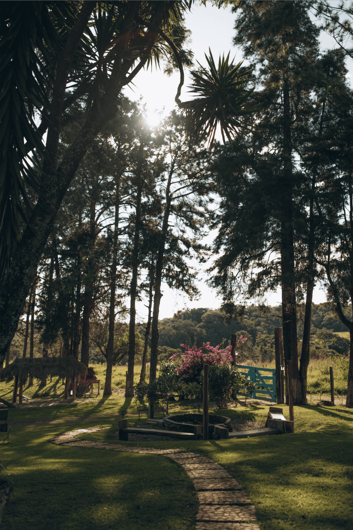 sitio_curiuva_galeria_6